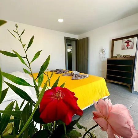 Serene Napa - Heart Of איה נאפה